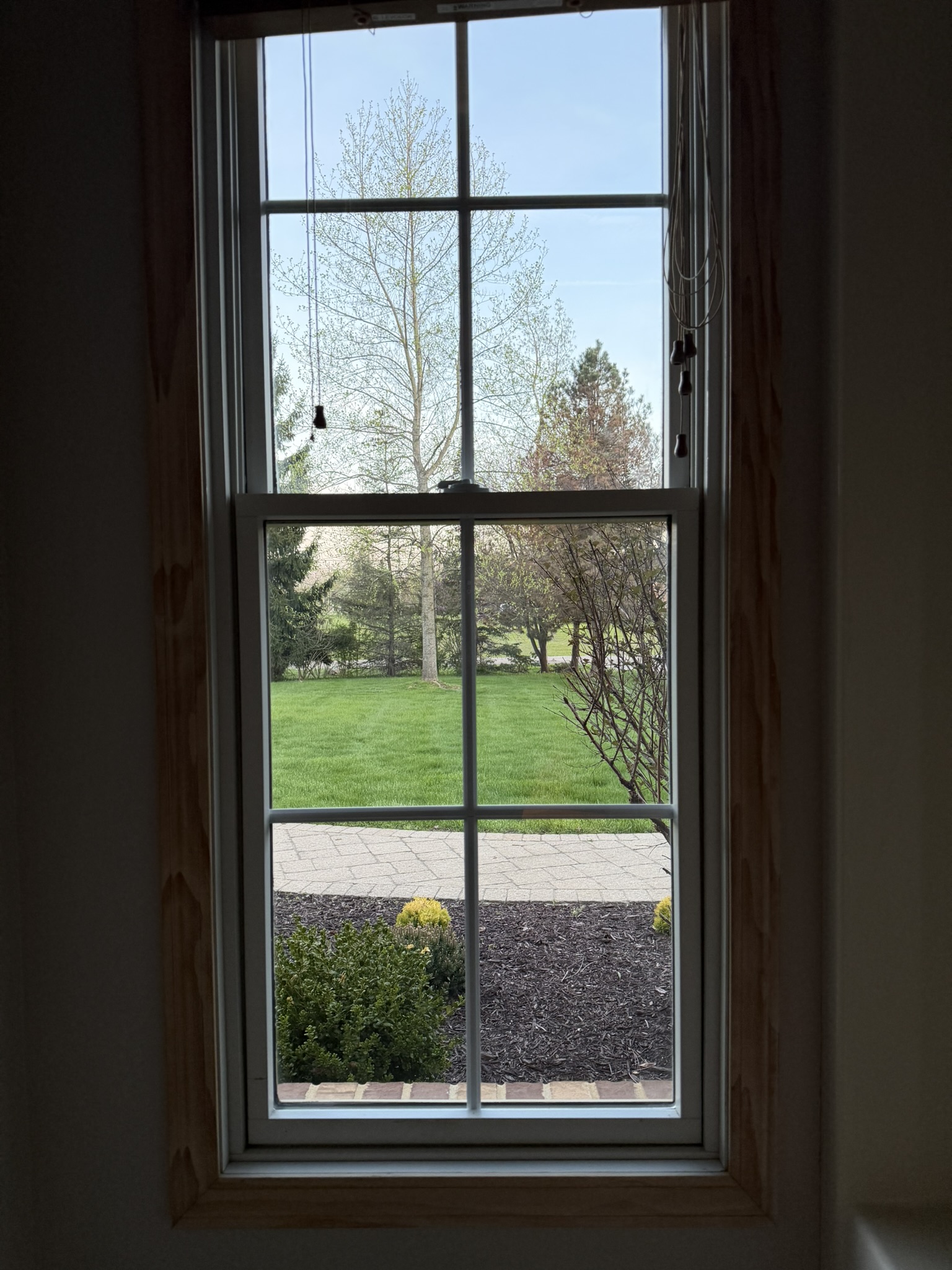 Front yard view from property