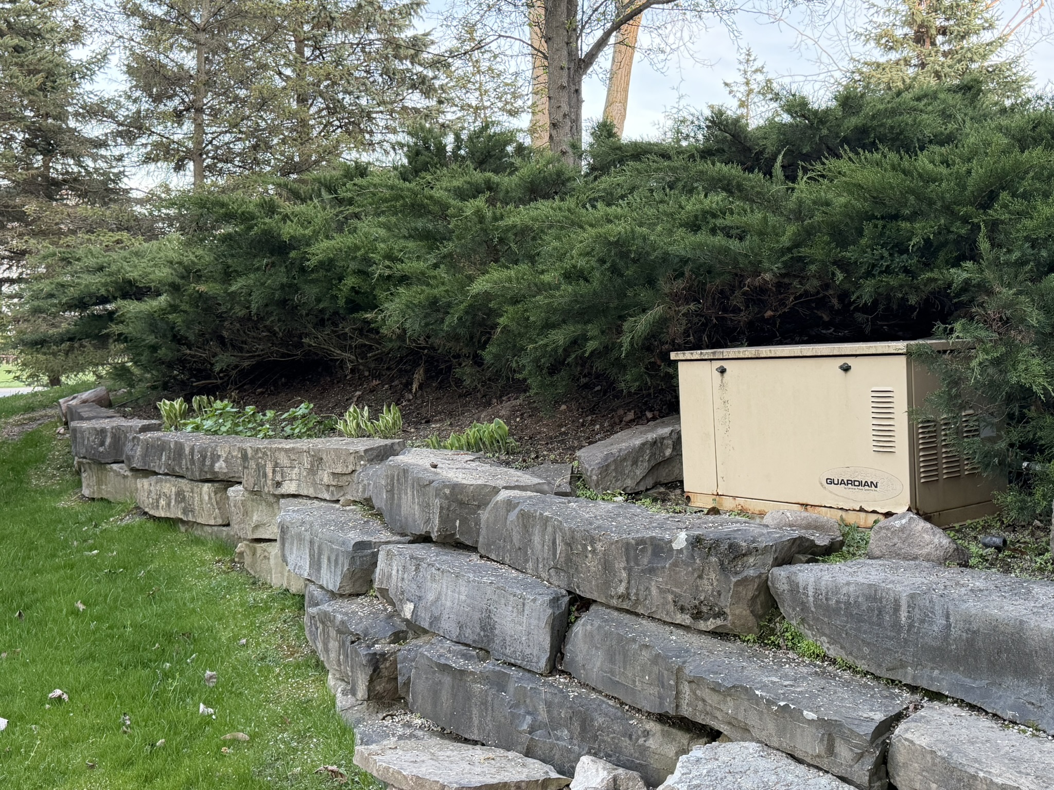 Whole-house Guardian generator on the property