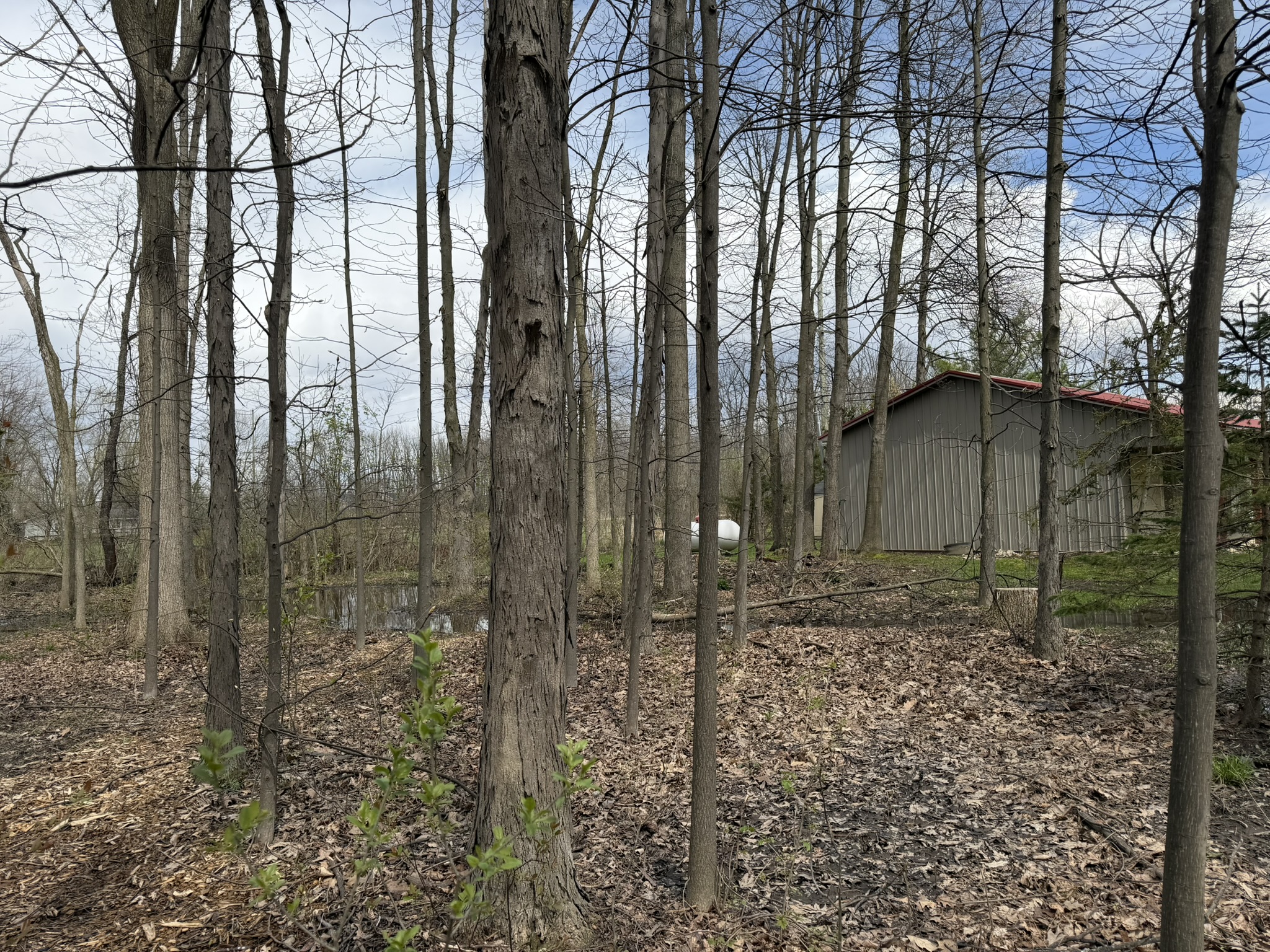 Wooded acreage