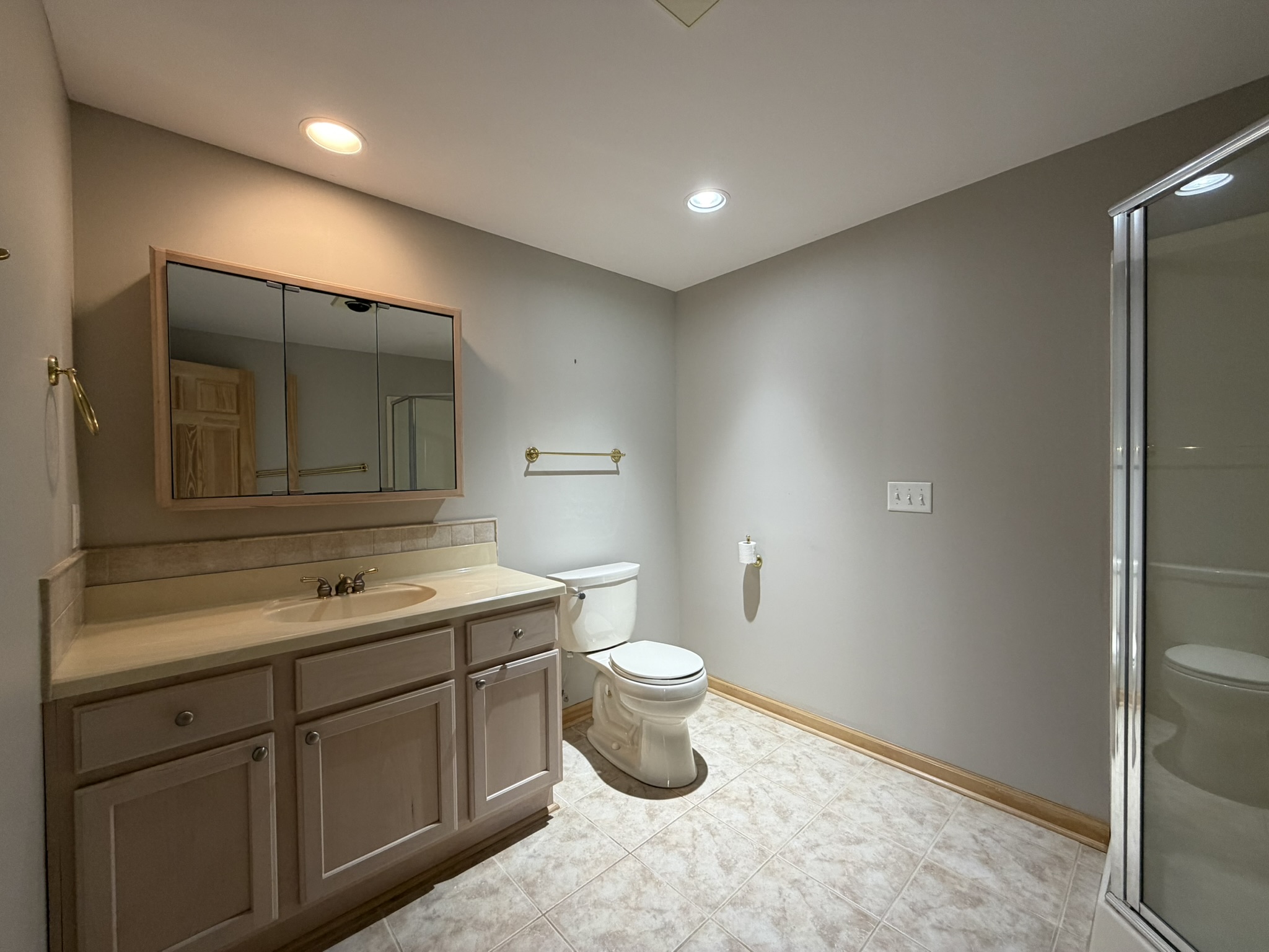 Lower level bathroom with walk-in shower