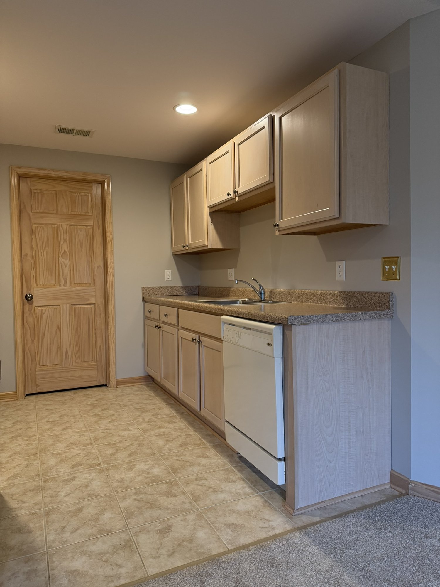 Lower level kitchen — sink, dishwasher, and pantry door